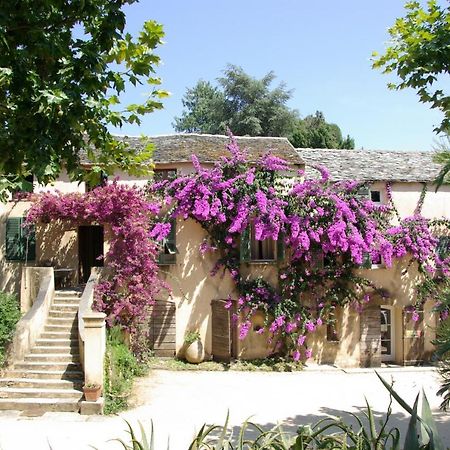 Domaine De Valle Sorbo-Ocagnano Екстериор снимка