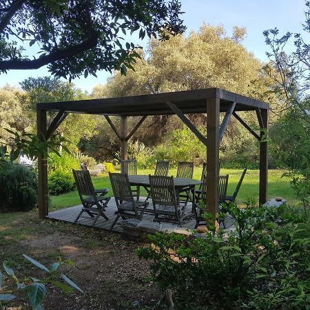 Domaine De Valle Sorbo-Ocagnano Екстериор снимка